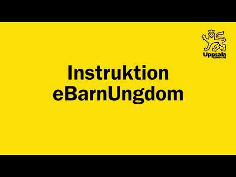Instruktion eBarnUngdom