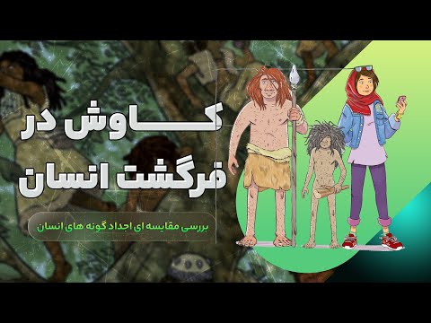 تصویری: چرا مثلث بندی داده ها در تحقیقات کیفی مهم است؟