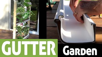 How to Build a Vertical Gutter Garden