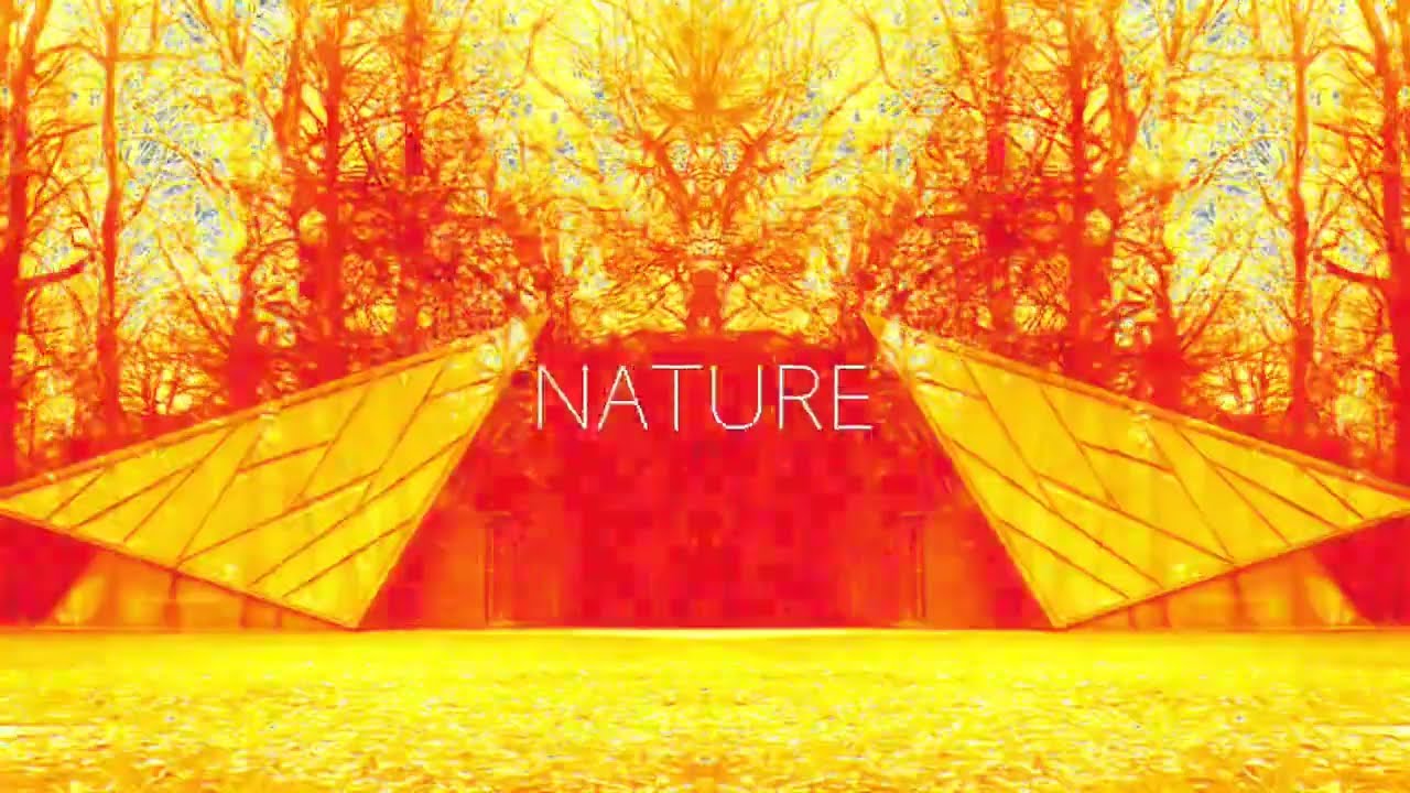 Never Got The Chance to Forget