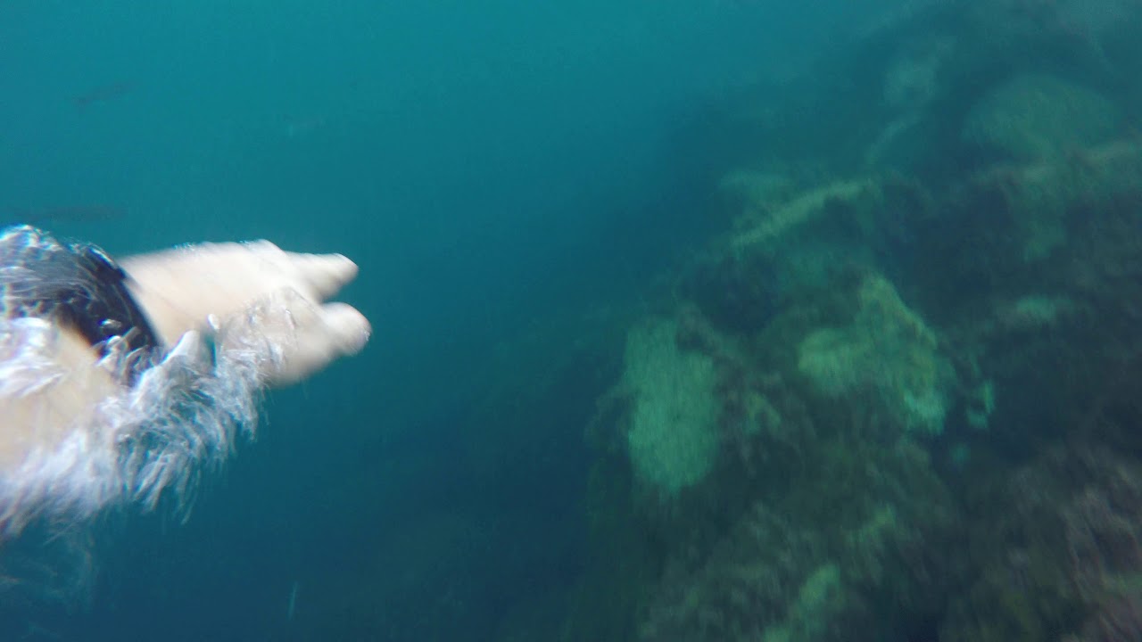 Setting off from the steps at Camp Bay - YouTube