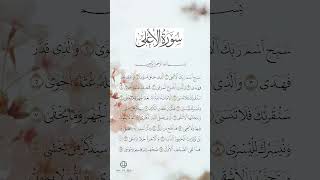 Surah Al-A'la. | Mishary Rashid Alafasy