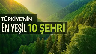 Turkiye'de ormanlık alanın en fazla olduğu 10 şehir