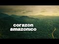 Viaje EN MOTO al CORAZÓN del AMAZONAS - ¿Sobrevivir es fácil? | Episodio 57 Vuelta al Mundo en Moto
