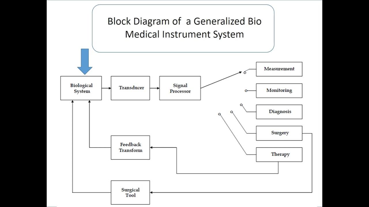 Block diagram of biomedical instrumentation - YouTube