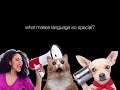 Uci language science teaser
