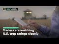 Traders Are Watching U.S. Crop Conditions Closely