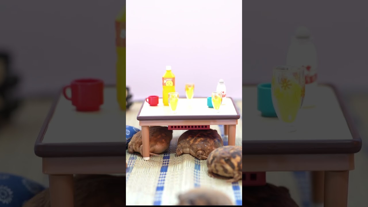 Dancing Rain frog💃🕺 