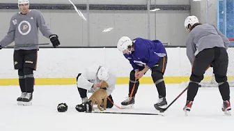 When Dogs Take Over NHL Practice