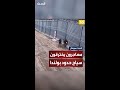 مشاهد تظهر عددا من المهاجرين يخترقون السياج الحدودي بين بيلاروسيا وبولندا مشاهد تظهر عددا من المهاجرين يخترقون السياج الحدودي بين بيلاروسيا وبولندا