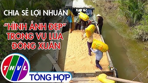 Chia sẻ lợi nhuận - hình ảnh đẹp trong vụ lúa Đông Xuân
