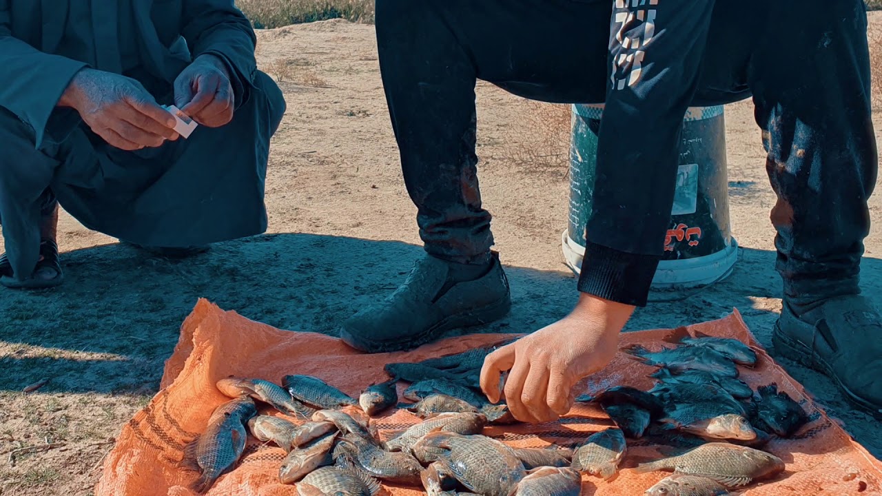 كشتة وصيد اجواء جميلة ٢٠٢١