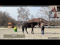 Helping Horses from High Anxiety into Calmness