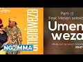 Pam d ft Mesen Selekta - Umeniweza (Audio video)