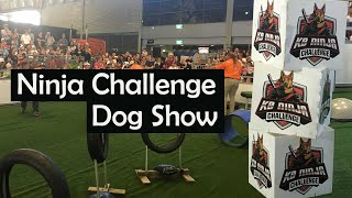 KO Ninja Challenge dog show | Dog show