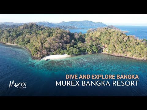 Dive and Explore North Sulawesi with Murex Bangka Resort | Indonesia
