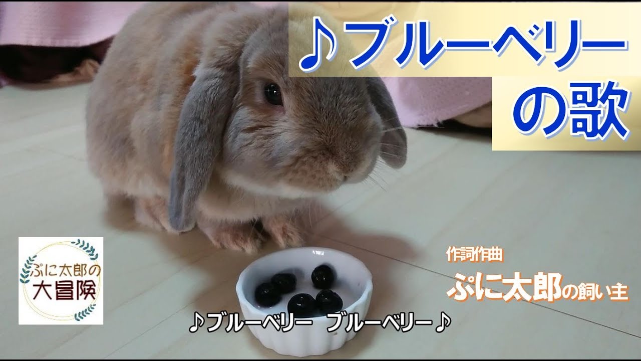 ぷに太郎流 好きな野菜ランキングの巻 Vol ぷに太郎の大冒険 Youtube