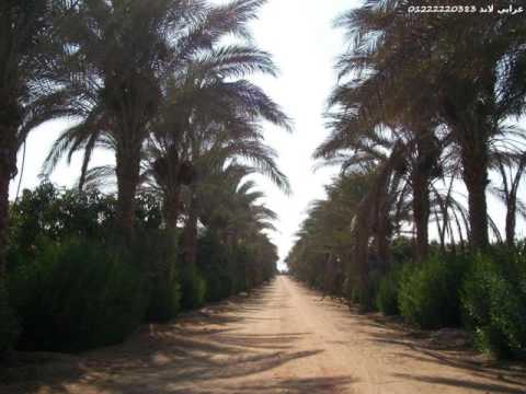 جمعيات استصلاح الاراضى فى مصر01222220383