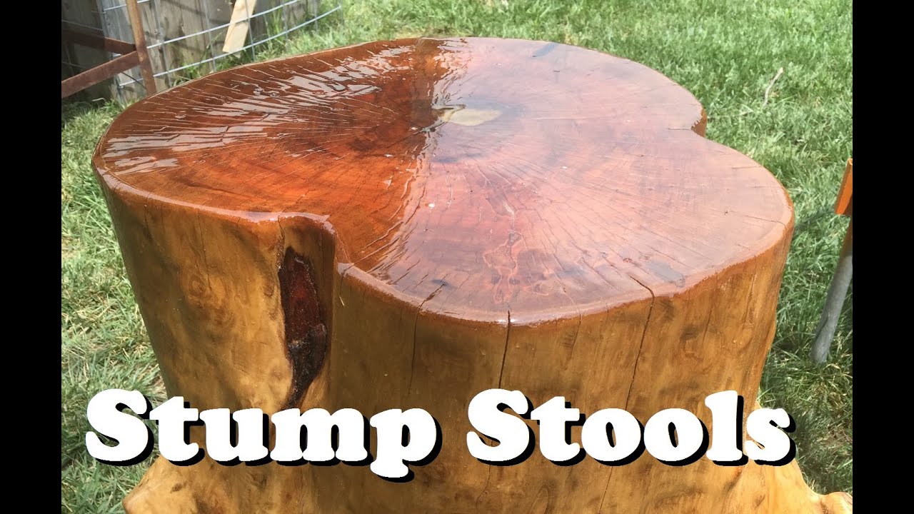 Stump Stools First Attempt (Amazon links in description) - YouTube