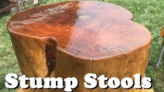 Stump Stools First Attempt (Amazon links in description)