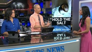 Here's how the FDA is limiting the amount of salt you eat