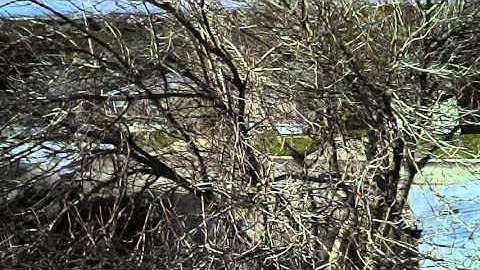 Syma X5SC Hard crash