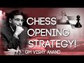 VISHY ANAND goes over his Chess Opening Strategy ♚ !!
