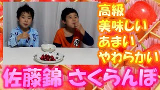 【佐藤錦】山形県産の高級さくらんぼ食べてみた！母の日♪