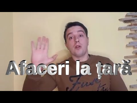 Video: Ce este afacerea BTO?