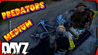 Захотели построить базу | PREDATORS MEDIUM | Медиум сервер #dayz