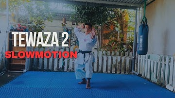 Tewaza 2 Kata Karate Slowmotion | Quang Hải Karatedo
