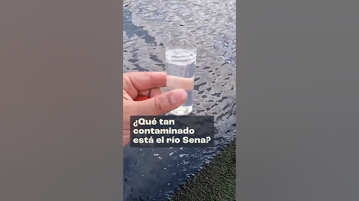 ¿Qué tan contaminado está el Río Sena?