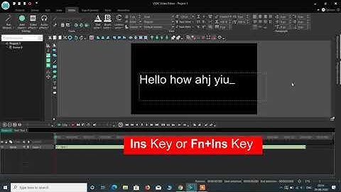 How to stop overtype | how to stop text overwriting