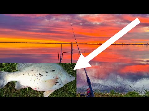 Perfect morning fishing