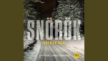 Chapter 29.2 - Snörök