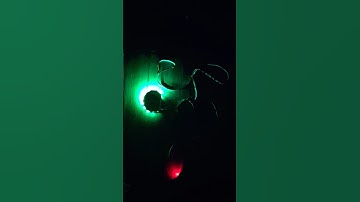 Arduino ws2816 led strip #addressable #costycnc #arduino