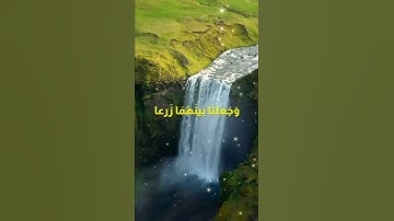 صاحب الجنتين 🤍💜 #فارس_عباد #quran #القرآن_الكريم #تلاوات #راحة_نفسية #قرآن #سورة_الكهف