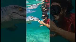 Keeping a pet Mosasaurus was a bad idea