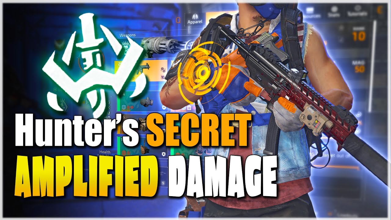 This Build HITS HARDER THAN YOU THINK - The Division 2 Hunters Fury SECRET Amplified DAMAGE...