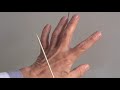 Joints of the hand (Articulationes manus)