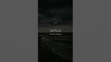 سورة_النساء  آية ١٠٠||حالات واتس قرآن || تلاوة #مشاري_العفاسي