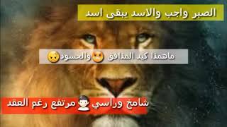 تصميم قصيدة  من المبدع اليمني  بصوت الشاعر حسان حي المعرفه