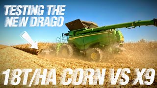 Harvesting corn in Australia for 2026🇦🇺🌽🌽