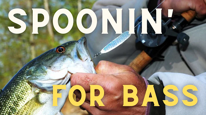 Spoon Fishing For Bass with Pro David Mullins