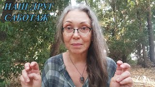 видео: Выскользнуть из системы картинка: Выскользнуть из системы