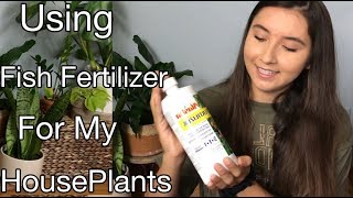 How To Use Liquid Fish Fertilizer For Your Summer HousePlants