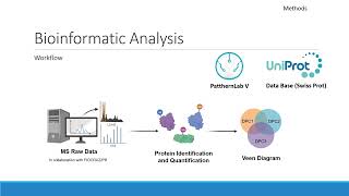 Sbbc 2022 Presentation Maiara Marques