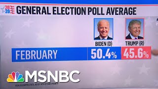 Trump Trailing Joe Biden In String Of New State And National Polls | MSNBC