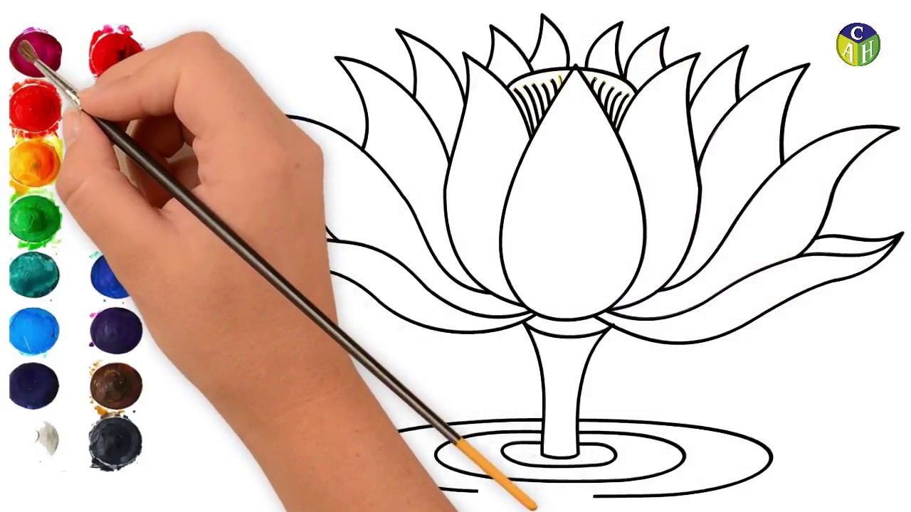 How to draw a lotus color painting color art house draw a lotus