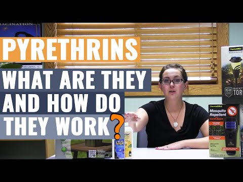 Pyrethrins - What are They and How do They Work?